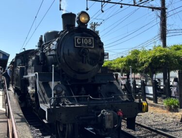大井川鉄道の旅を満喫してもらいました【関東から友人が来てくれた時に紹介した観光スポット　その2】