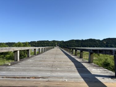 蓬莱橋を満喫してもらいました【関東から友人が来てくれた時に紹介した観光スポット　その１】