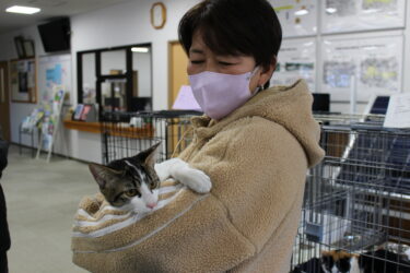 2025年2月8日　【島田ねこむすび】さんの譲渡会の様子を撮影してきました。