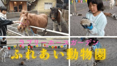 【第1弾】ラブリーホースガーデン体験記　|　月1回のイベント「ふれあい動物園」をご紹介します