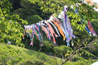 【保存版】5月に行くならここ｜島田から1時間のおでかけスポット2選