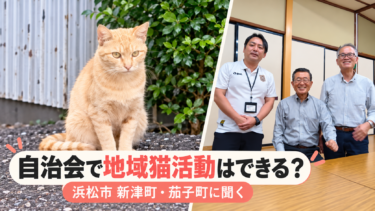 地域猫活動を自治会で？　浜松市新津町・茄子町に「島田市でもできるのか」を聞きに行く